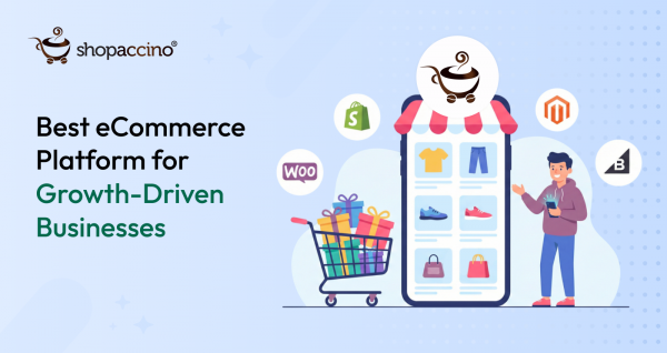 Why Shopaccino Is the Best eCommerce Platform for Growth-Driven Businesses