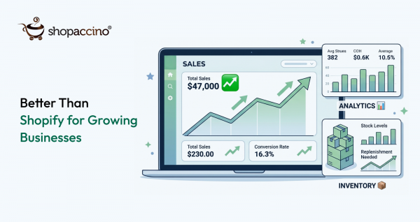 Best Ecommerce Software Better Than Shopify