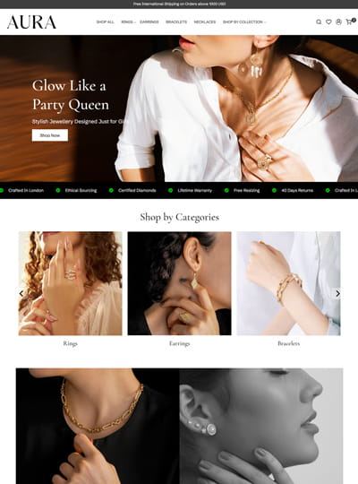 Versatile theme for a clothing and fashion online store
