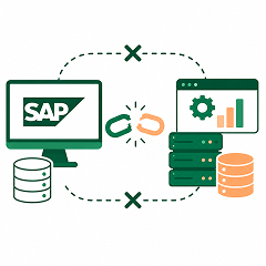 Disconnected SAP ERP