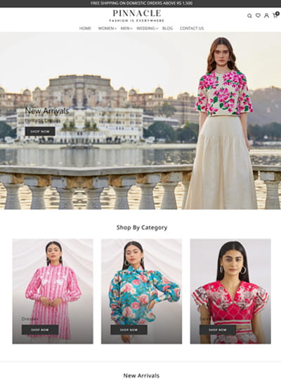Pinnacle theme for a premium apparel online store